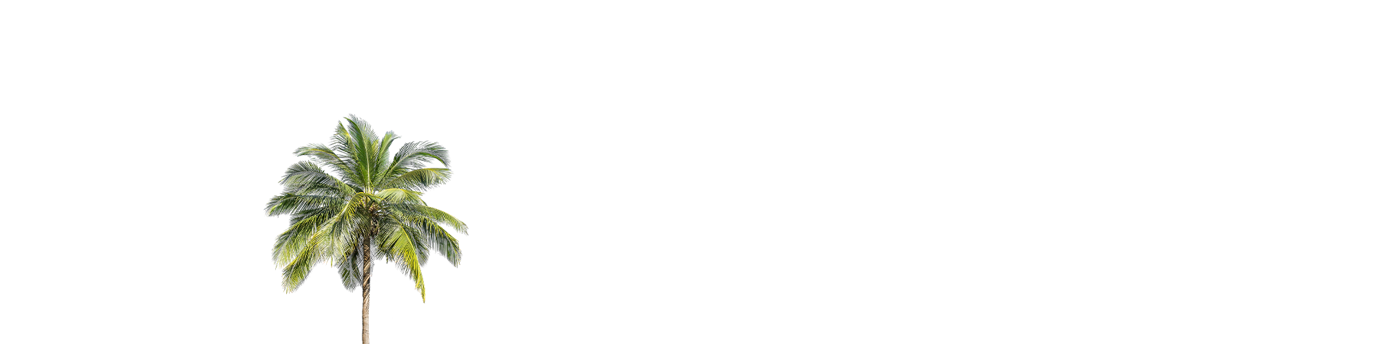 para_cover